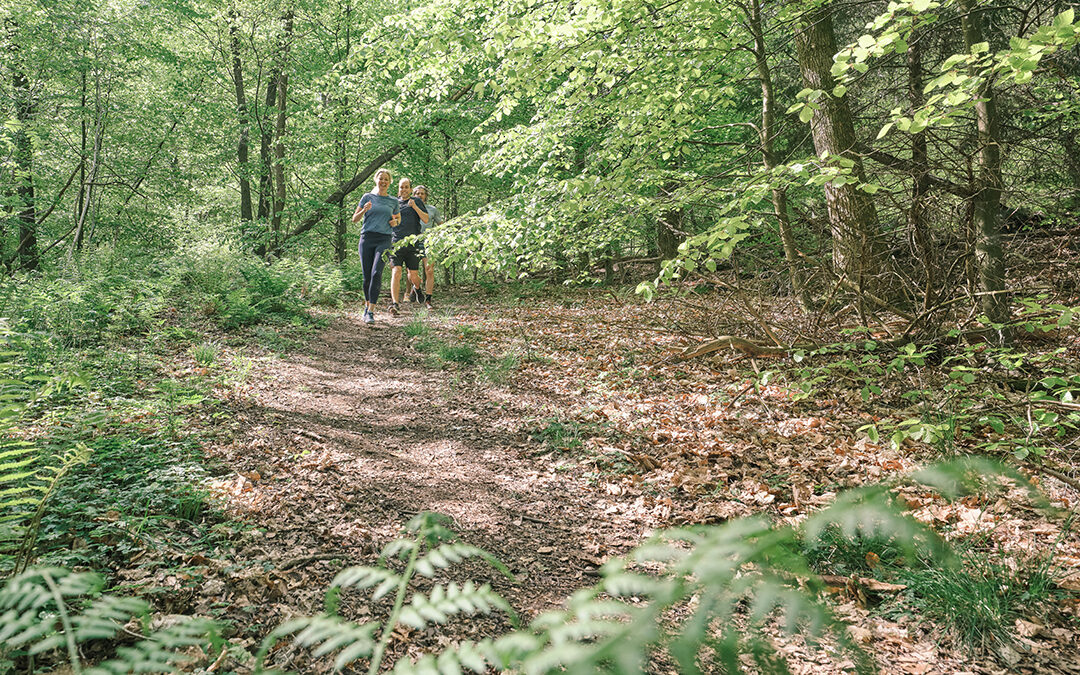 Krokslätts Fabriker – Backyard Run
